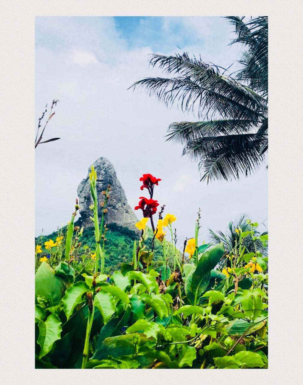 Pousada Morro Do Pico Fernando de Noronha Eksteriør billede